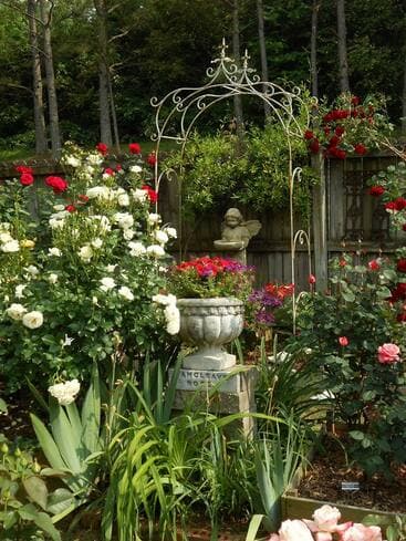 A rose garden vignette with a wrought-iron arch, climbing red roses, and a stone urn planter